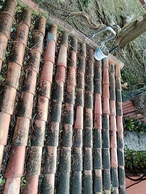 Trabajo realizado por UrbaAgro