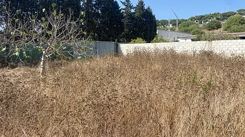 Trabajo realizado por UrbaAgro